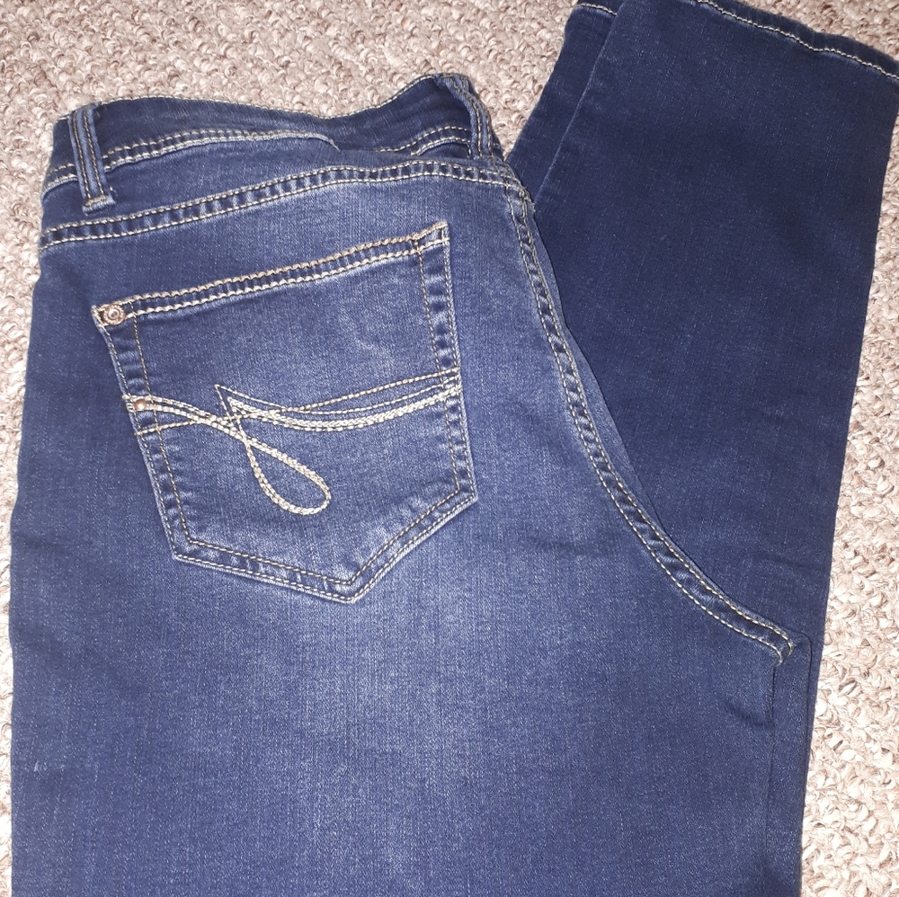 Jordache Skinny Jeans.